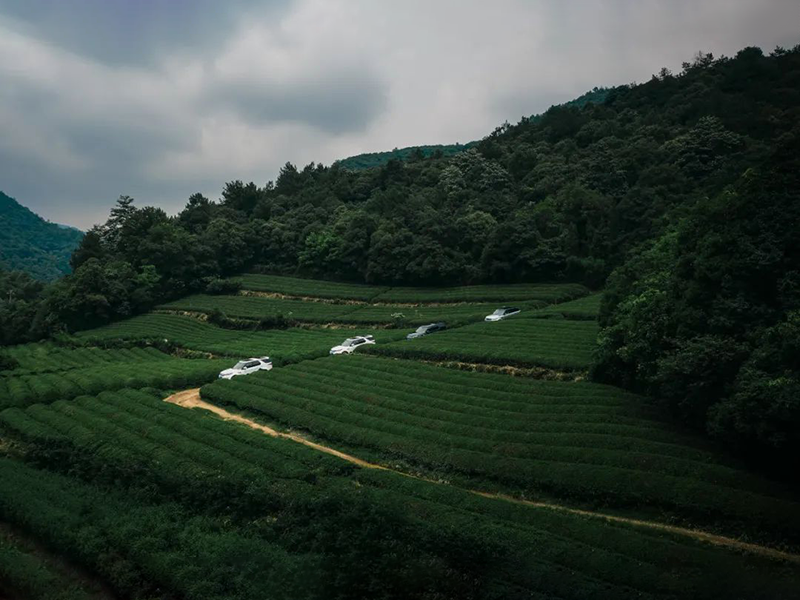 正十一,正心动。发现路虎,驰骋莫干山。